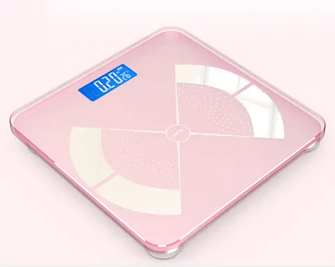 Rechargeable Household Weight Scale Accurate Human Weighing Small Smart