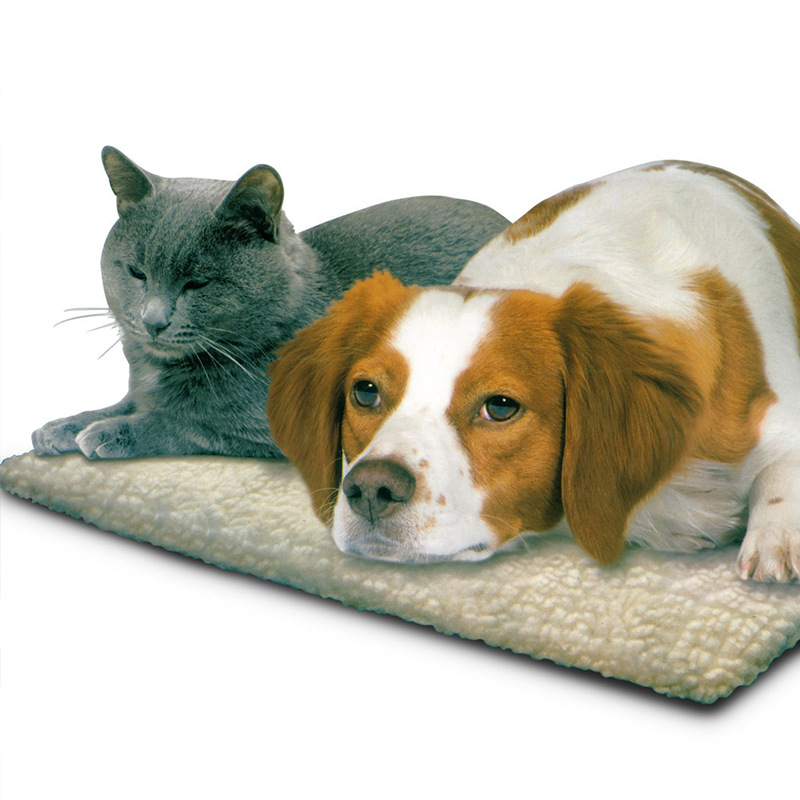 A resting layer for companions