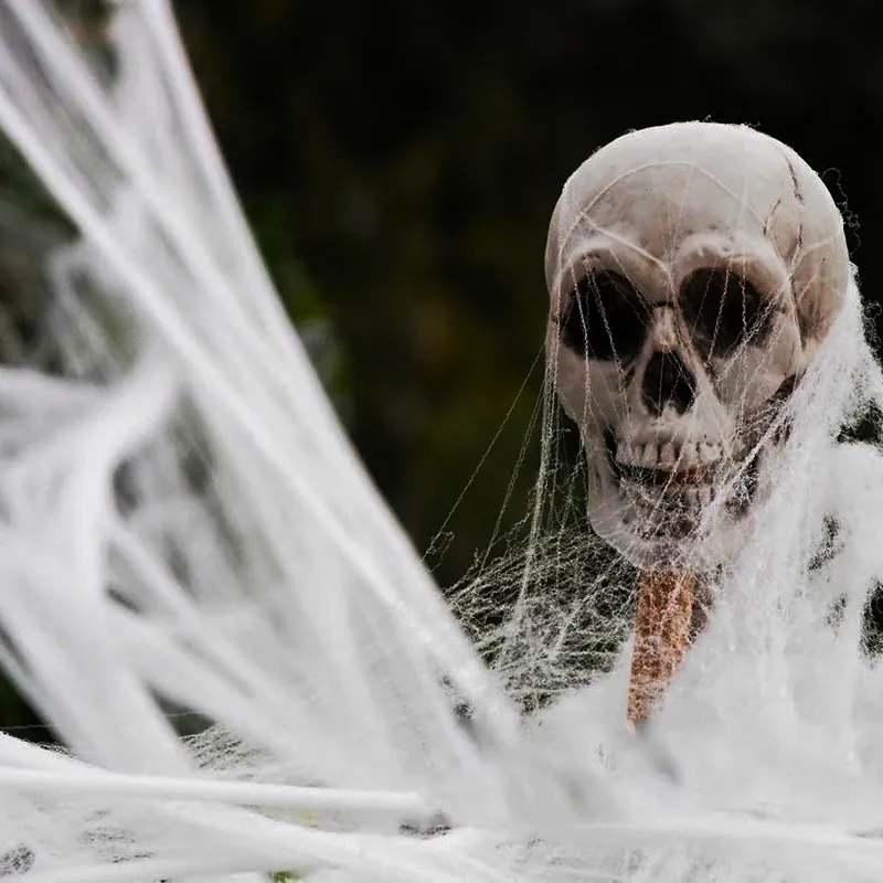 Halloween Decoration Spider Cotton Spider Web – image 7
