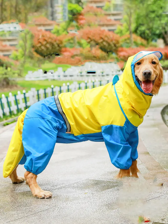 Waterproof four legged raincoat Yellow - Shop at LoveMi