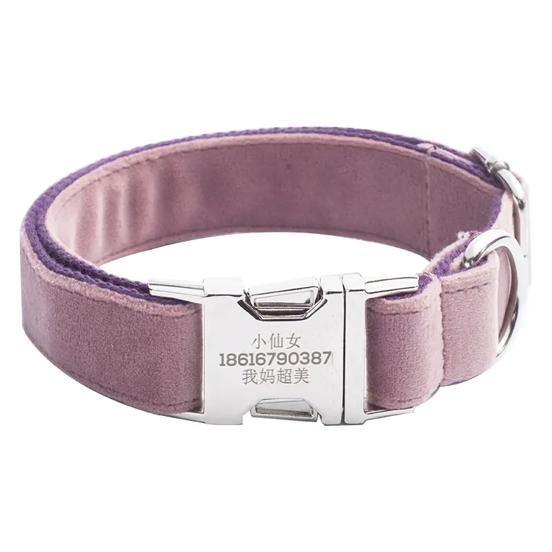 Pink dog collar