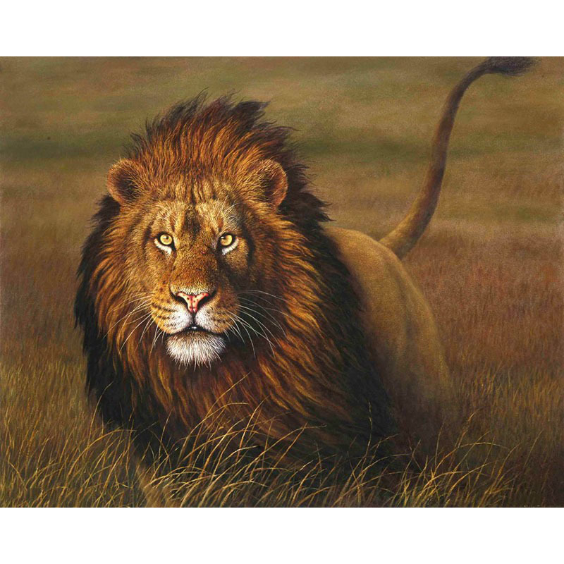 Frameless Diy40x50 Lion Digital Oil Painting