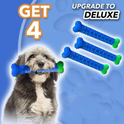 TV New Product Dog Tooth Brush
