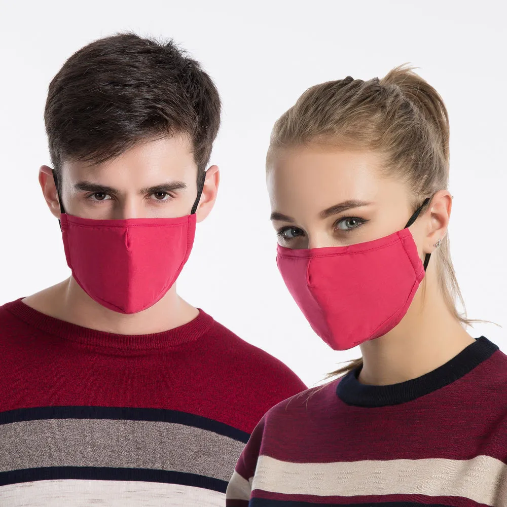 Pm2.5 activated carbon mask - Rose Red