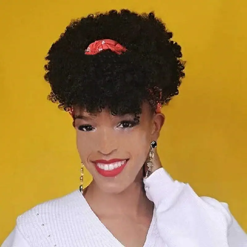 Short Curly Wigs