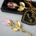 Kc Gold Pink