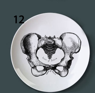 Human bone structure decoration plate 12Style - Shop at LoveMi