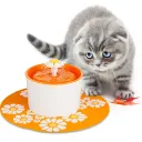 Au Orange