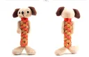 Coloured Puppy