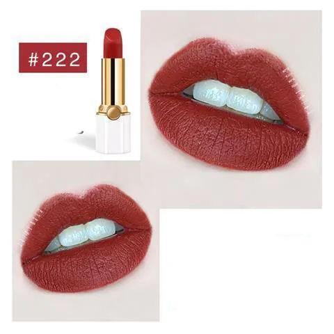 Velvet matte lipstick - 2 Style