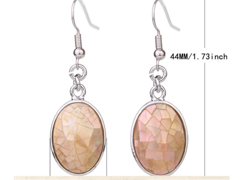 Creative Wild Natural Shell Earrings Oval Earrings