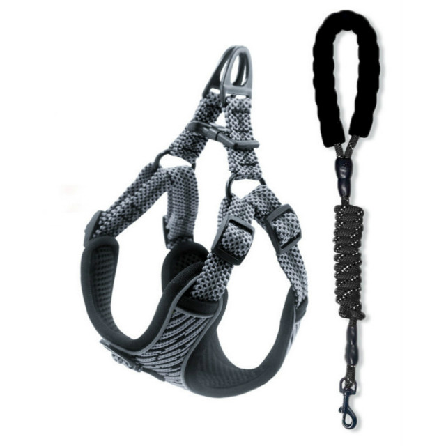 Silver and tow rope