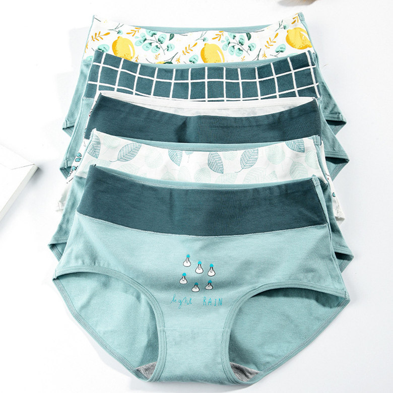 Title 4, Autumn underpants girl 100% cotton