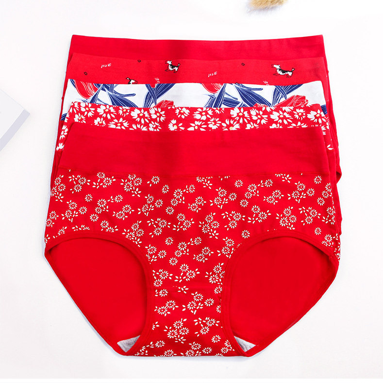 Title 5, Autumn underpants girl 100% cotton