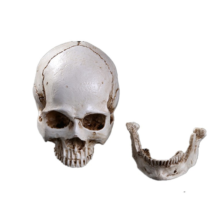 Resin skull ornament (RS 108)
