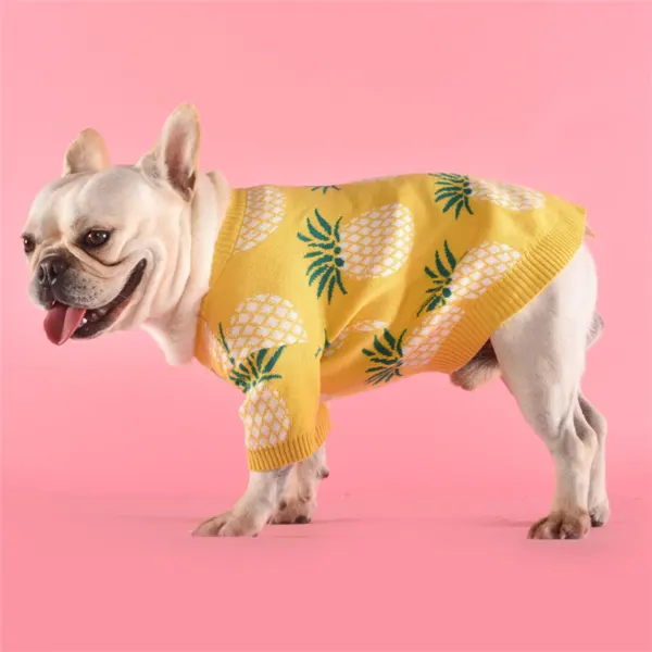 Pineapple Sweater