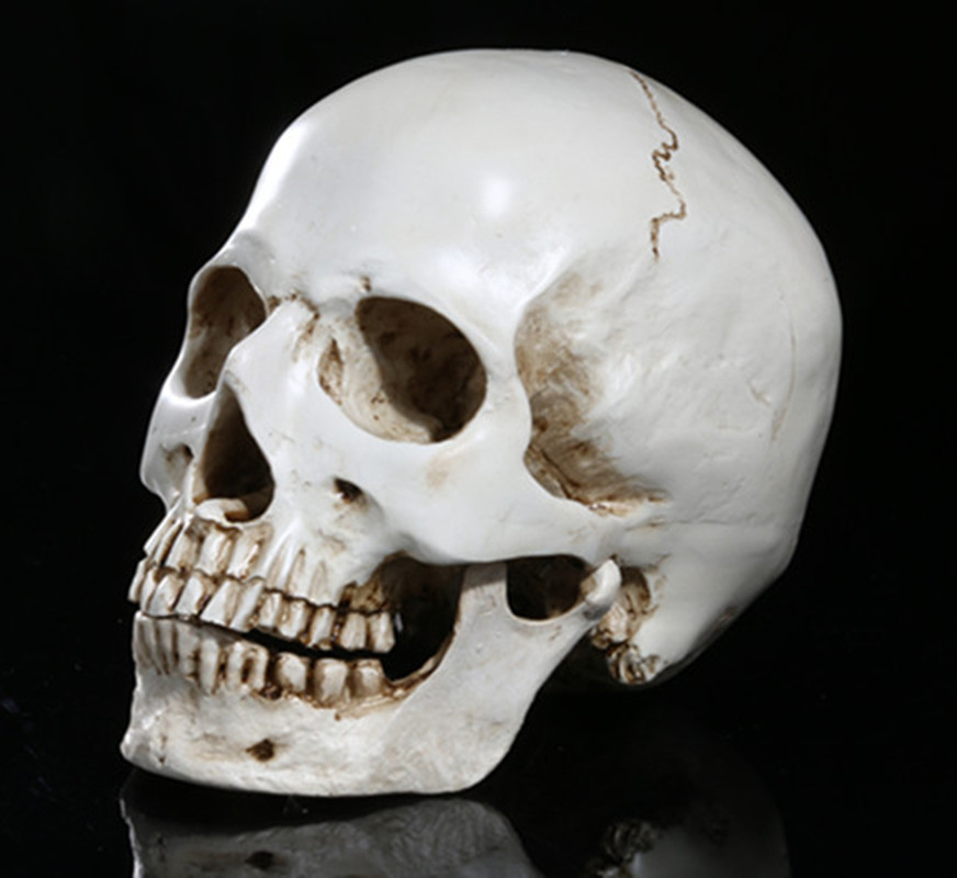 Resin skull ornament (RS 108)