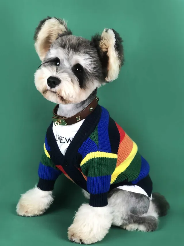 Dog Rainbow Striped Cardigan Blue - Shop at LoveMi