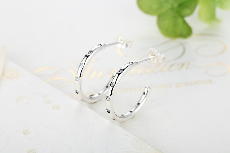 Simple classic zircon s925 silver earrings