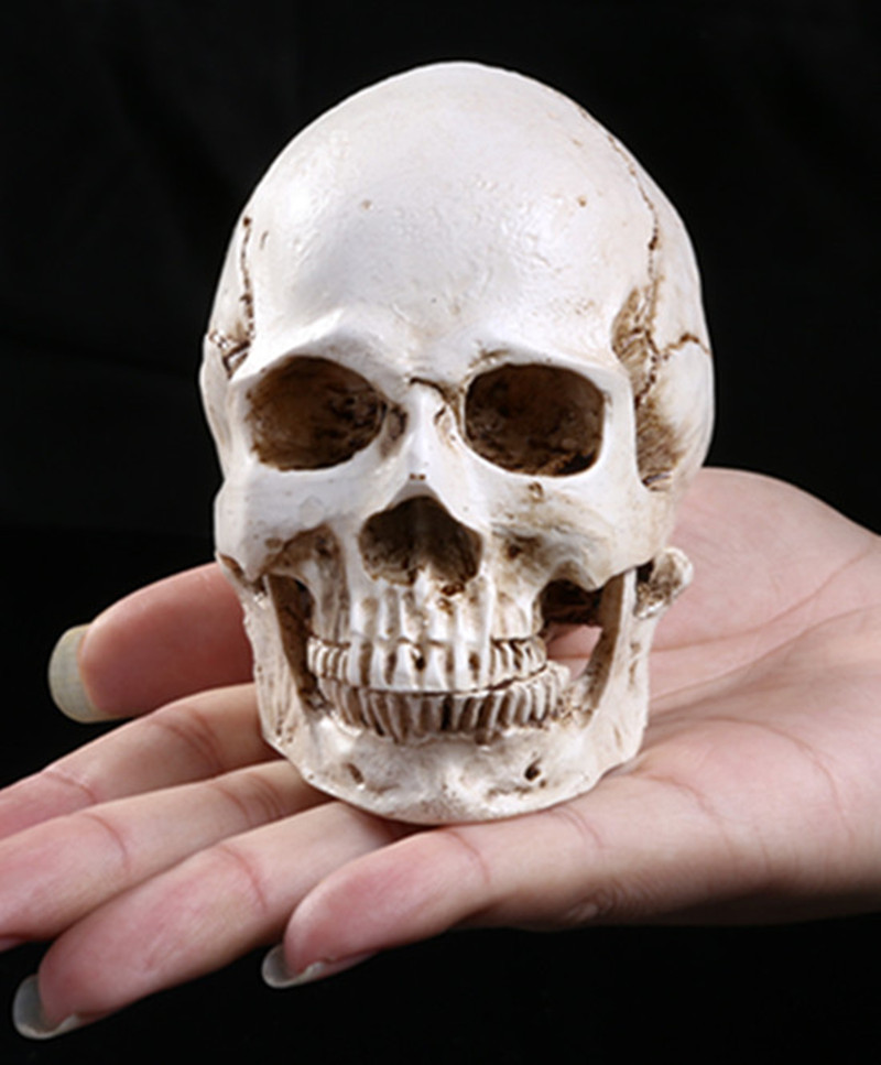 Resin skull ornament