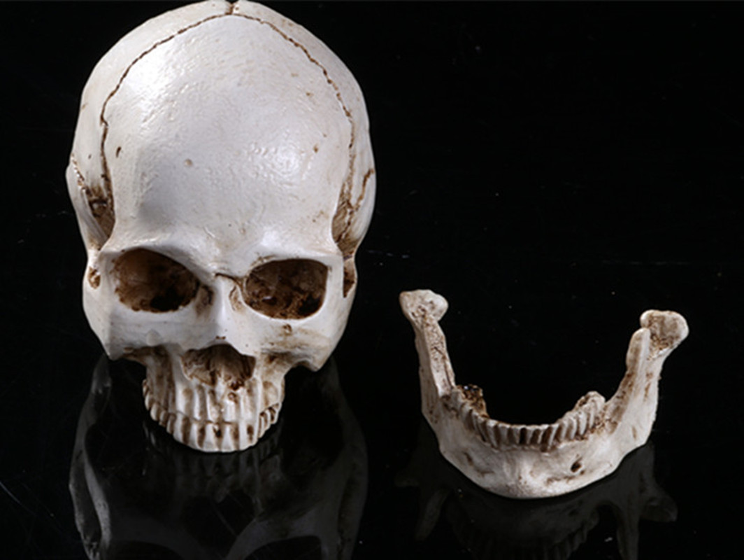 Resin skull ornament (RS 108)