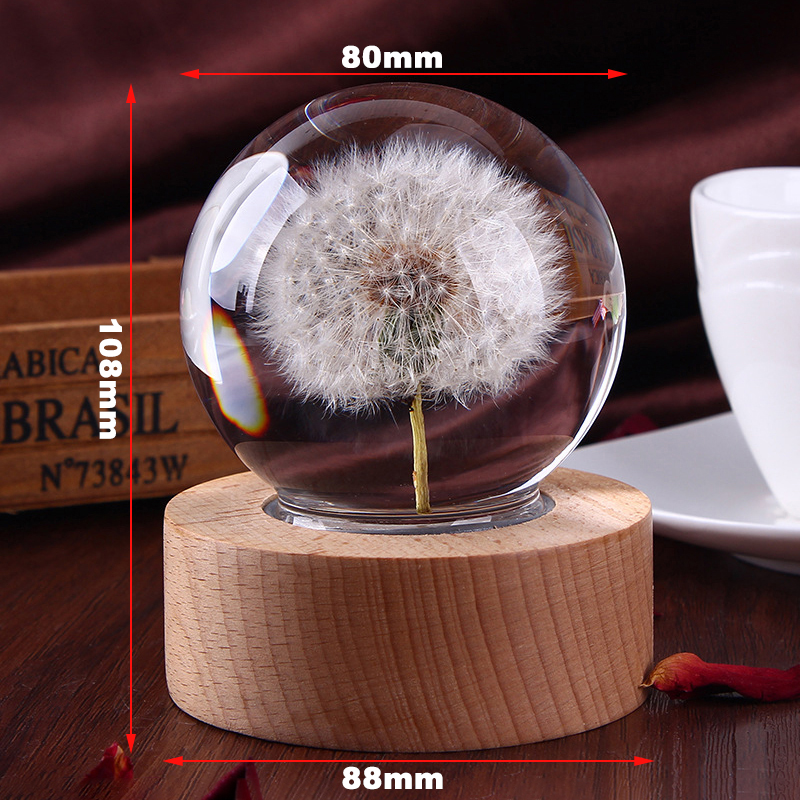 Dandelion crystal ball