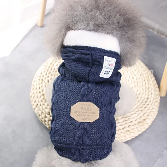 Teddy dog clothes Blue - Shop at LoveMi
