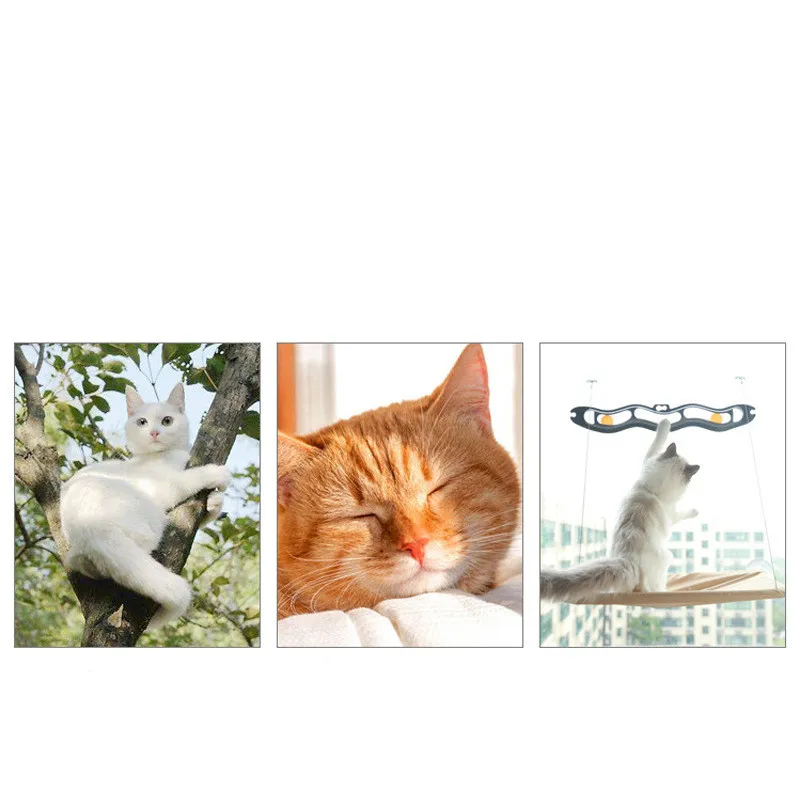 Cat Hammock Suction Cup Wall Mounted Window Hammock – image 5