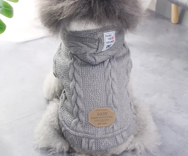 Teddy dog clothes Grey - Shop at LoveMi