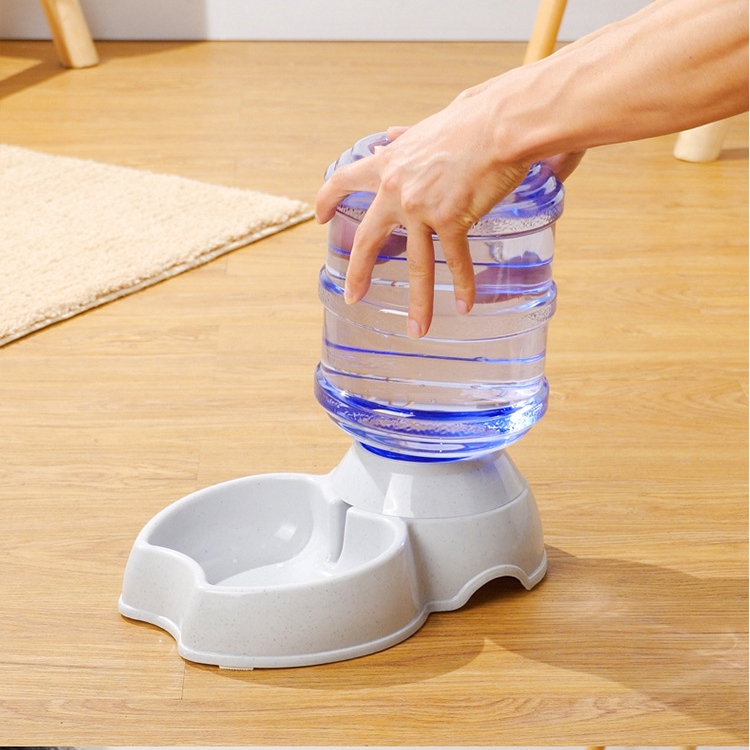 Apple tray water fountain