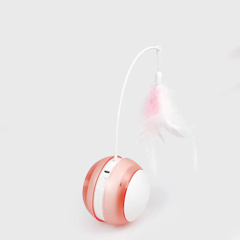 Cat Toy Ball