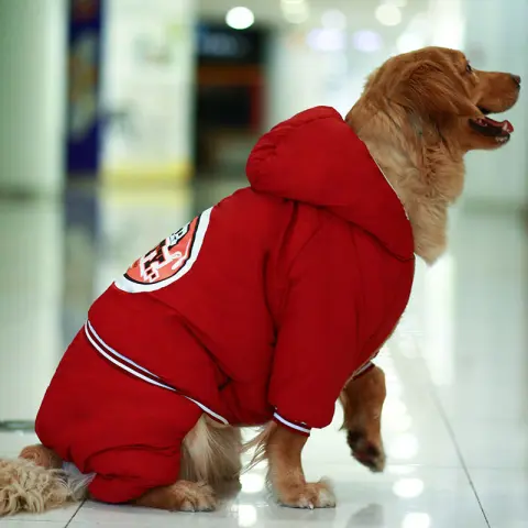 Heavy Padded Clothes for Big Dogs and Pets