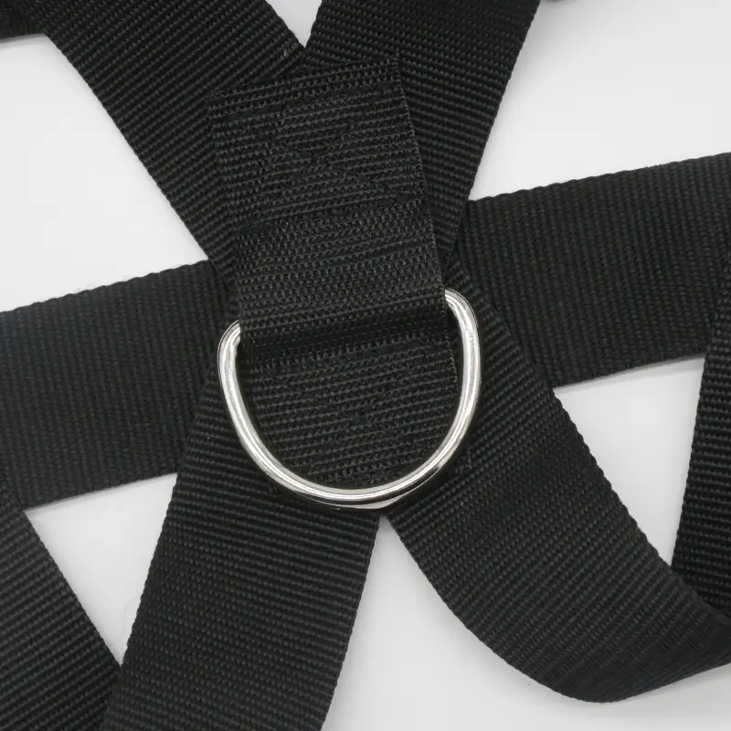 Physical training resistance rope