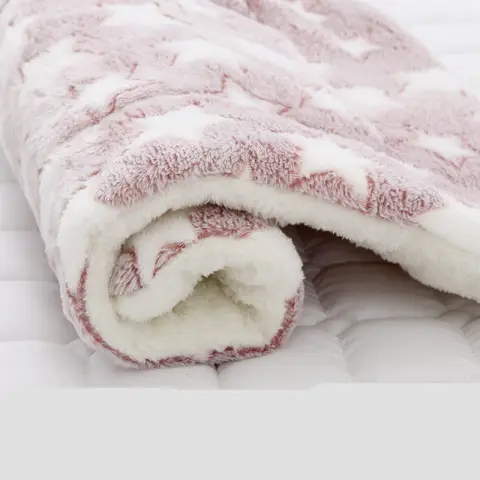 Thickened Blanket for Cats and Dogs