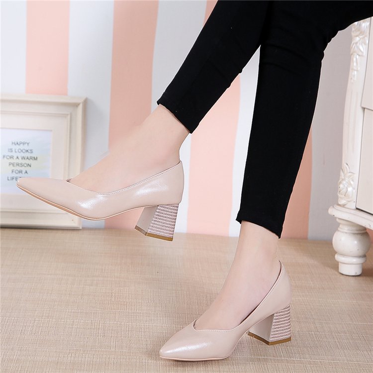 Pointed toe shoes with thick heels