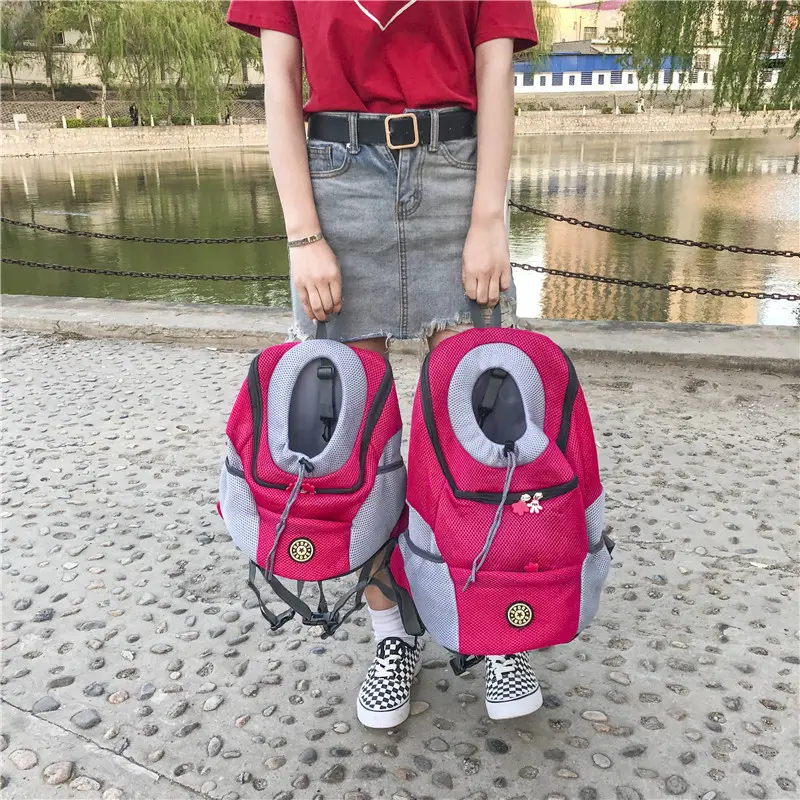 Pet backpack dog