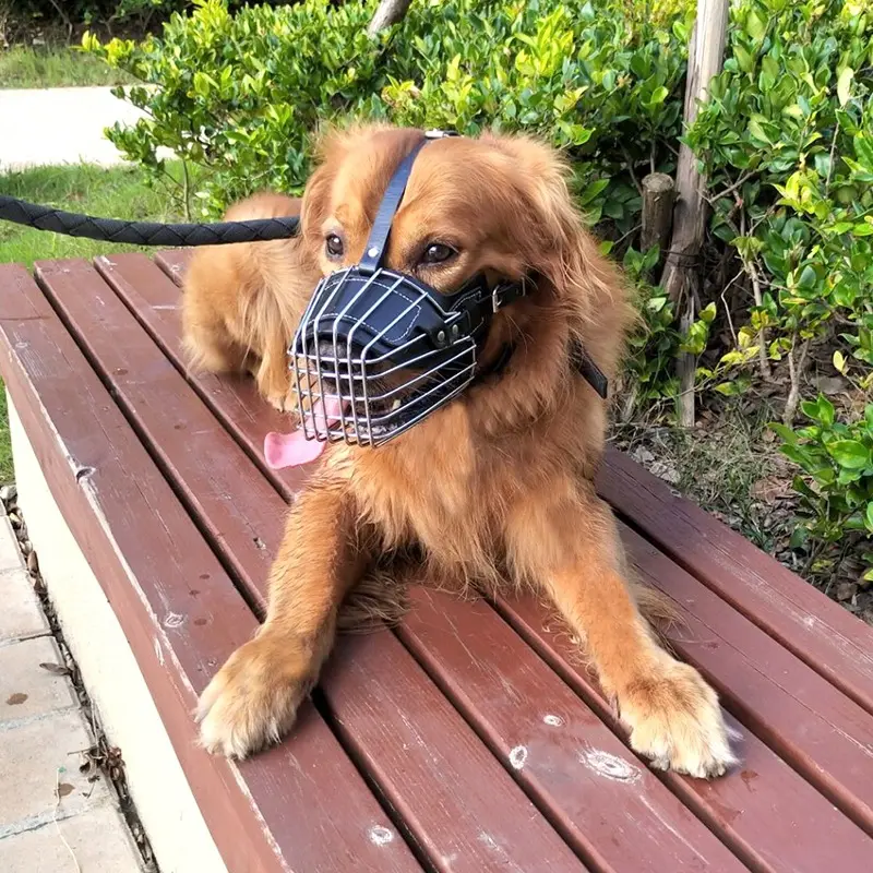 Dog Muzzle Adjustable Basket Soft Straps Rubber