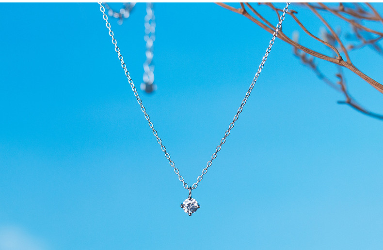 Necklace with Silver Necklace