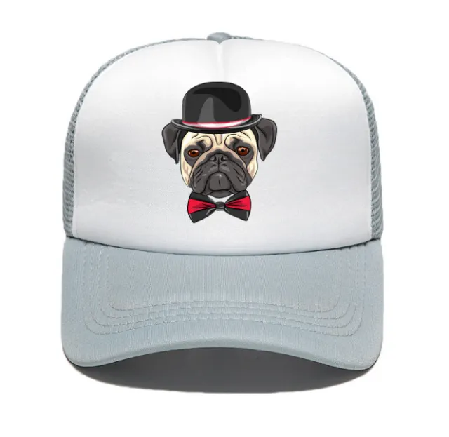 Peaked cap spring and summer net cap Grey - Shop at LoveMi