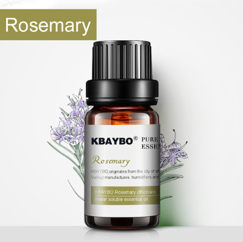 10ml Rosemary