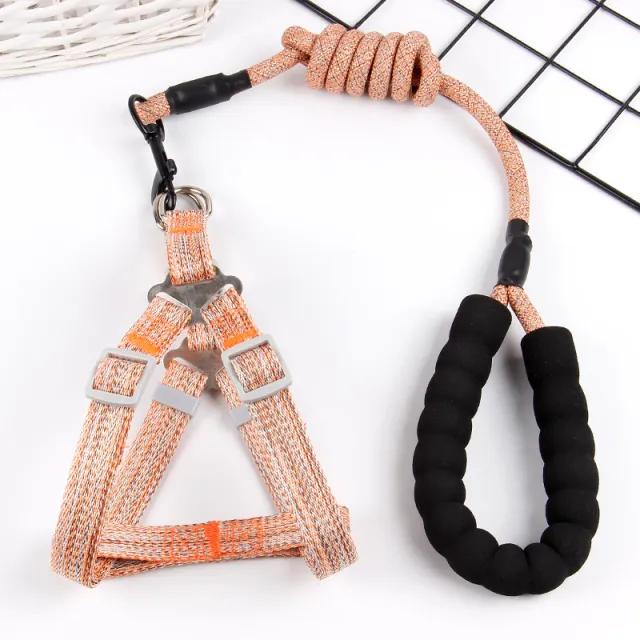 Pet Chest Strap Lead Rope Orange - Shop at LoveMi