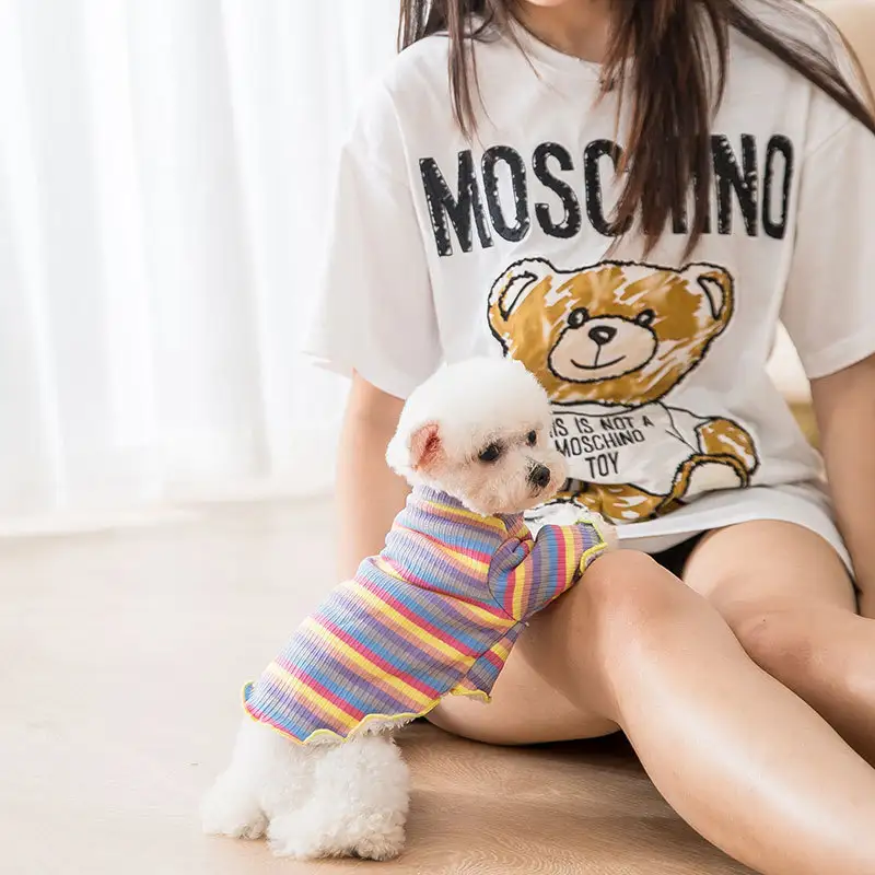 Knitted rainbow dog clothes