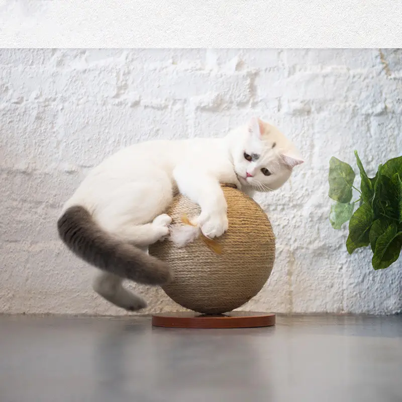 Cat Catches the Ball