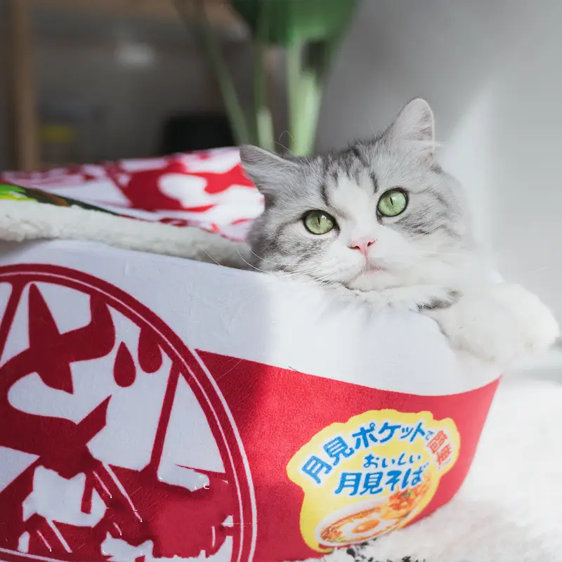 Round Warm Cat Partially Covered Bed Instant Noodles Cup Style