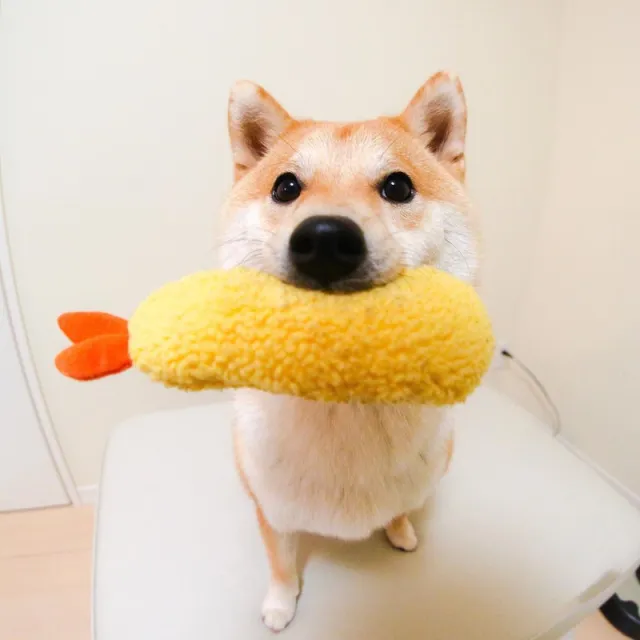 Fried Shrimp Tempura Dog Pet Chew Bite Squeaky Toy Cute Stuffed Yellow - Shop at LoveMi