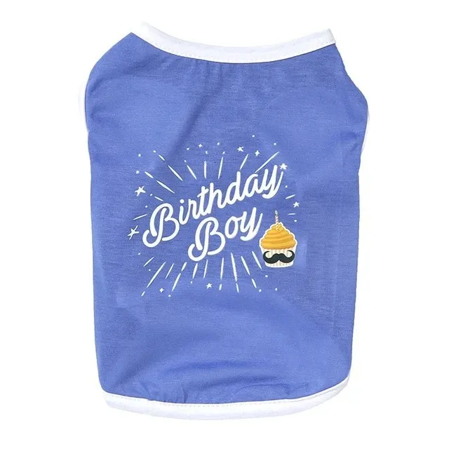 Pet clothes dog clothes - Blue