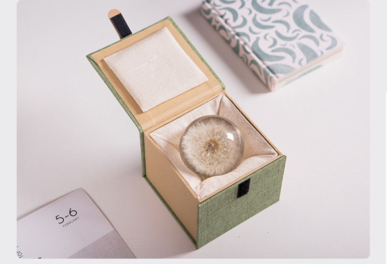 Dandelion flower plant specimen girl girlfriend birthday
