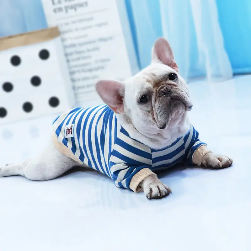 Pet Corgi Fall/Winter T-shirt