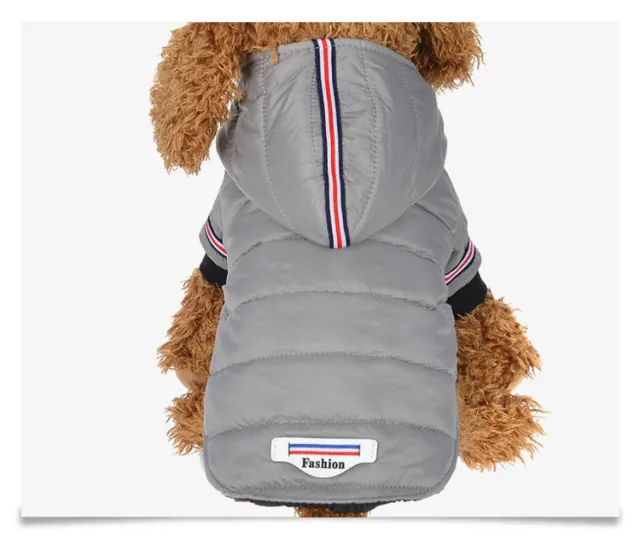Dog clothes cat clothes autumn Grey - Shop at LoveMi