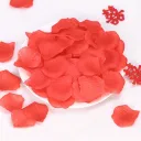 A1 Color